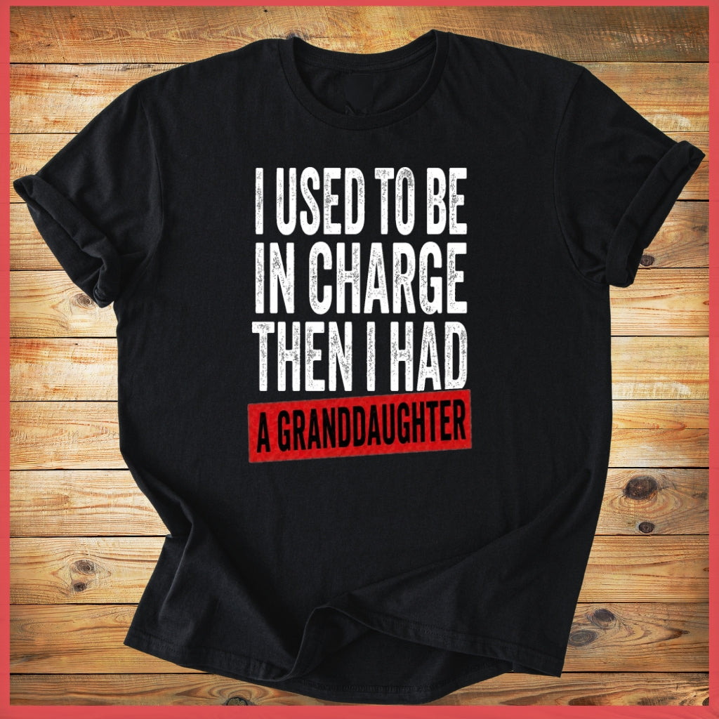 Used to be in charge shirt