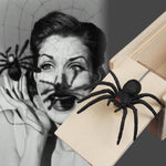 Spider Prank Halloween Special for Kids and Adults