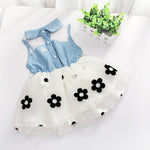 Cute Summer Outfit
